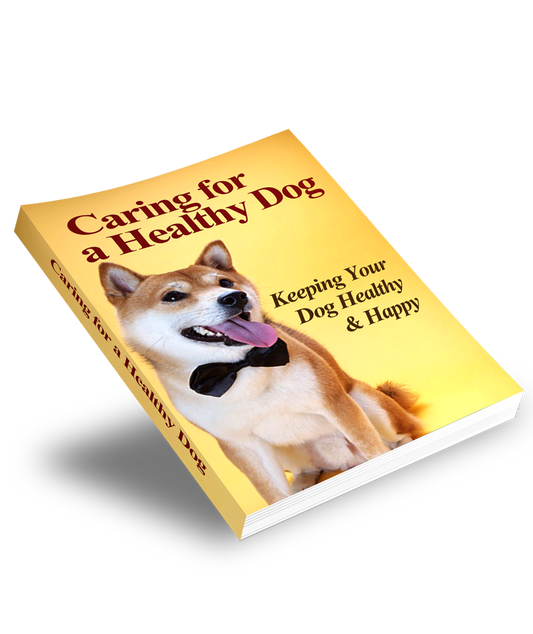 Caring For A Healthy Dog