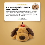 PupCalm™ — Heartbeat Comfort Plush