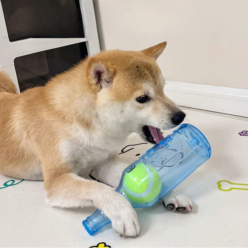 BottleBall™ 2-in-1 Toy