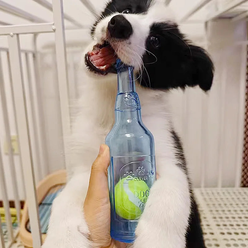 BottleBall™ 2-in-1 Toy